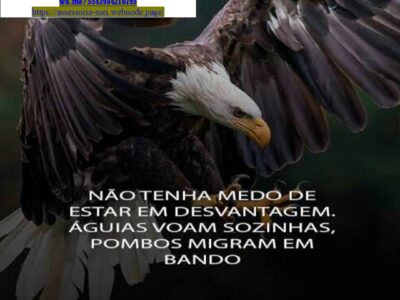 BRASIL- Contador, IRPF2023/2024 para estrangeiros Serviços C